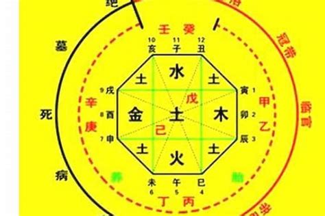 八字姓名學免費算|生辰八字算命、五行喜用神查詢（免費測算）